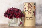 Botany Home