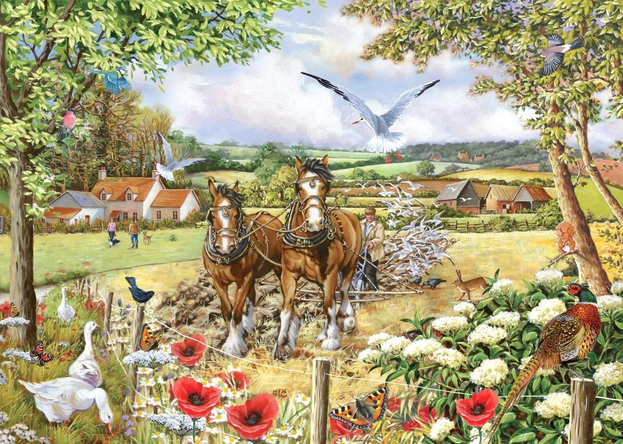 250 BIG PIECE JIGSAW PUZZLE The House Of Puzzles Garden Party Big Pieces 