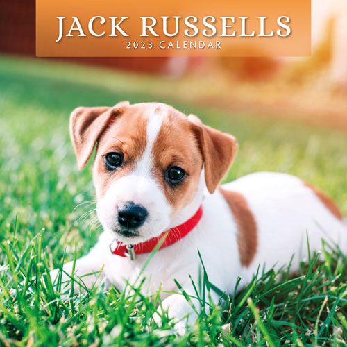 New Dog breeds calendars 2023