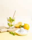 Handheld citrus juicer