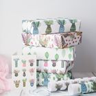 Patterned Pots collection