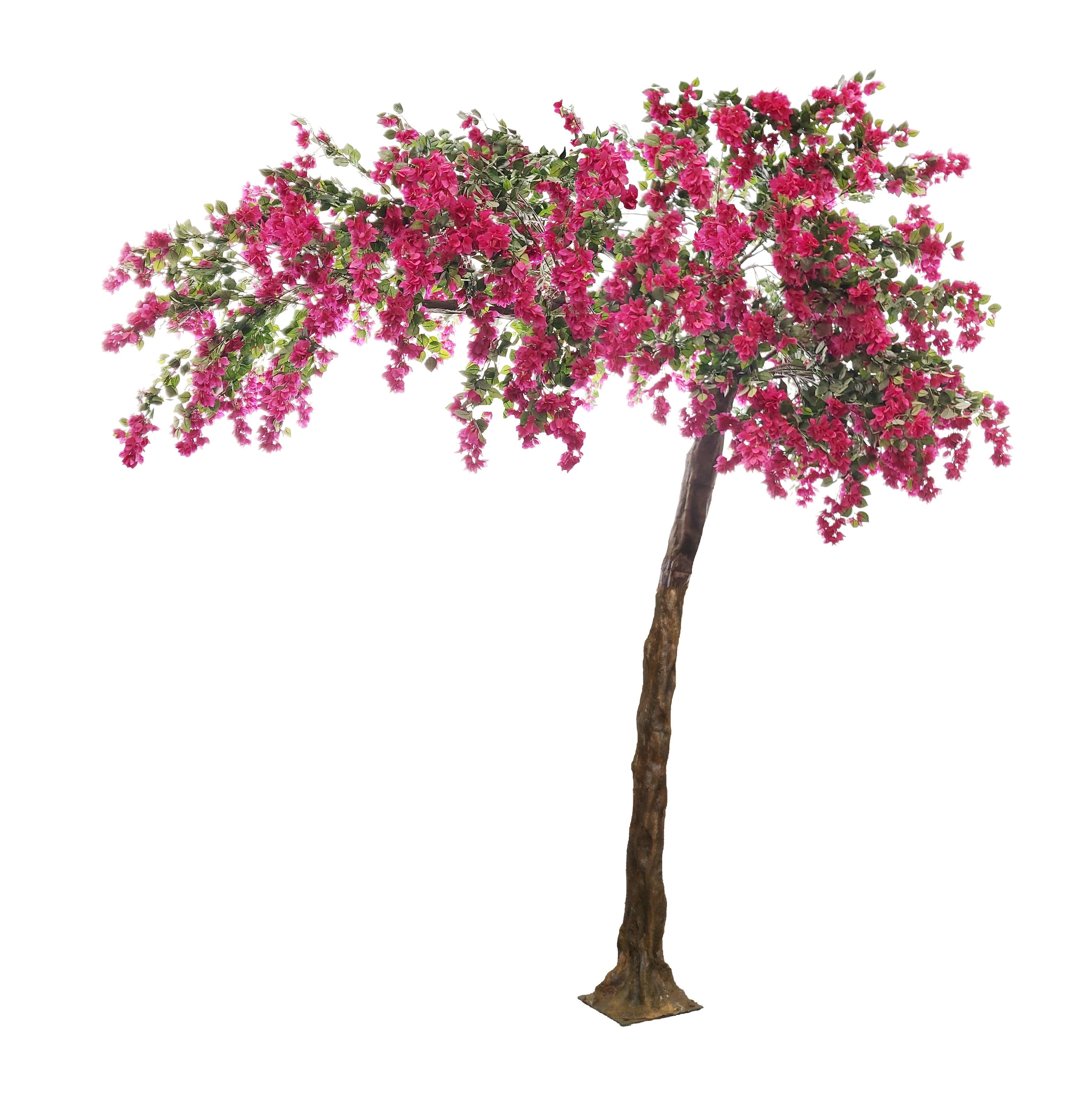 Bougainvillea Tree
