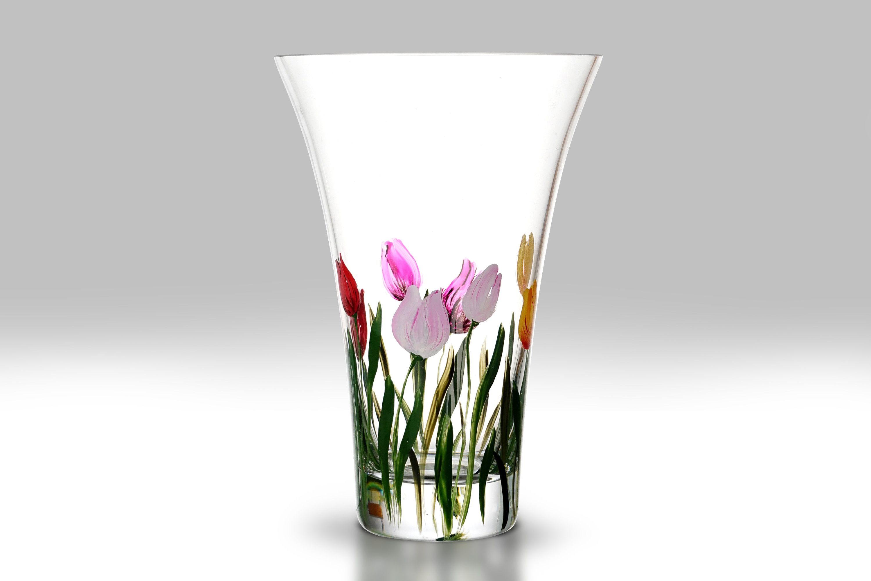 Rainbow Tulip