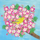 Trees: Hawthorn (Pop-Up Card)