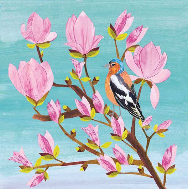 Trees: Magnolia (Pop-Up)