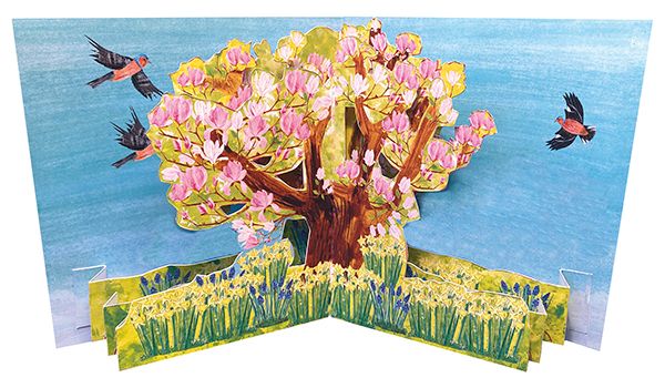 Trees: Magnolia (Pop-Up)