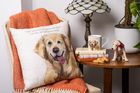 Cushions