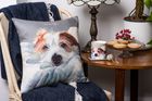 Cushions