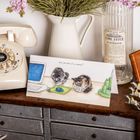 Greeting Cards