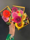Bold & Vibrant Cards for All Occasions