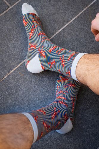 Mr Heron Lobster Socks