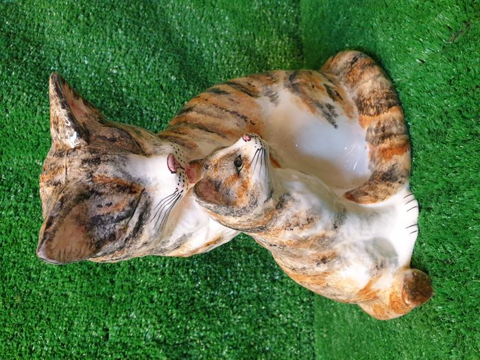NEW BABBACOMBE CAT & KITTEN