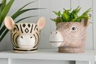Pots and Planters