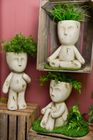 Pots and Planters