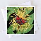 Painted Lady Greeting Card and Art Print