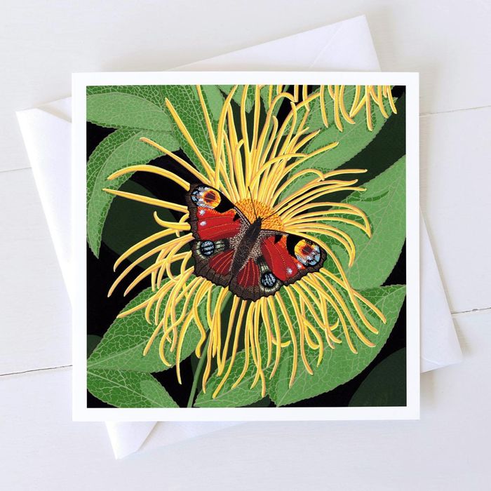 Painted Lady Greeting Card and Art Print