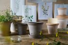 NEW: Flora