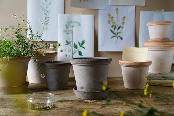 NEW: Flora