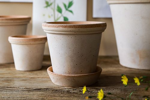 NEW: Flora