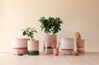 The Hoff Collection - Scandinavian Silhouettes