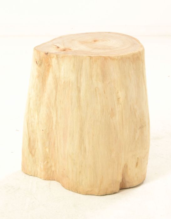 bone bleach collection