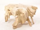 bone bleach collection