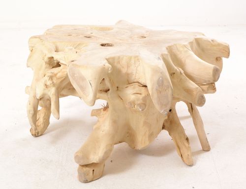 bone bleach collection