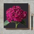 Botanical Golds - Pink Hydrangea