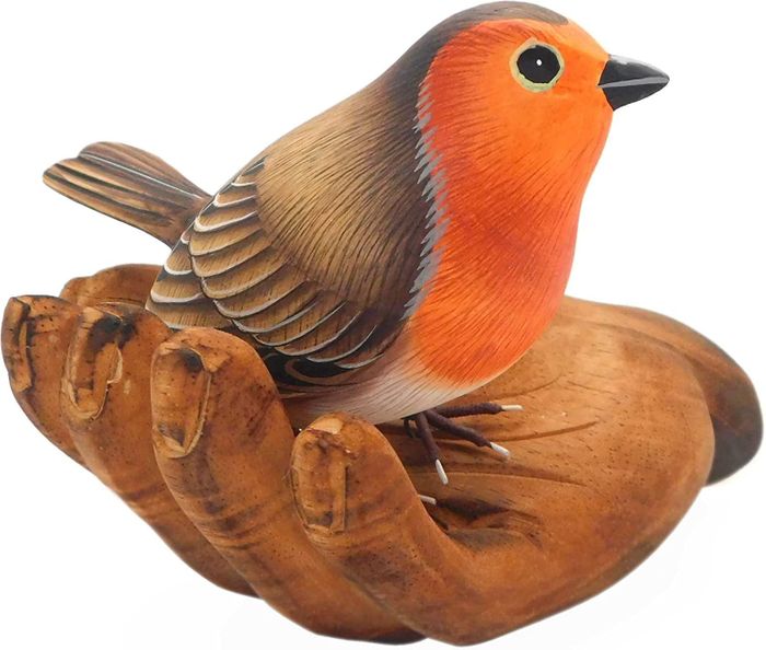 Robin Red Breast on my Palm