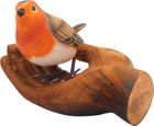 Robin Red Breast on my Palm