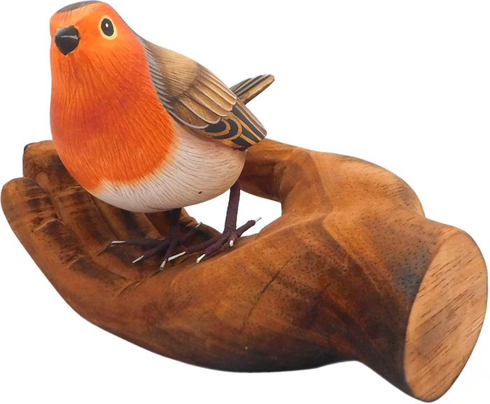 Robin Red Breast on my Palm