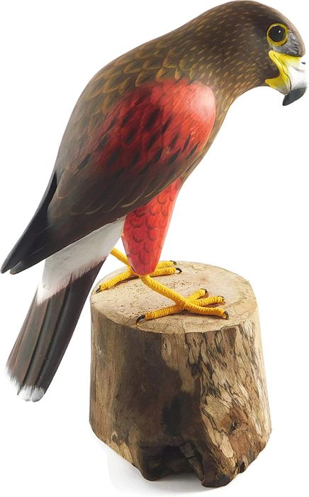 Wooden Harris's Hawk