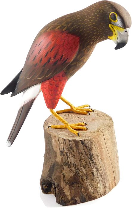 Wooden Harris's Hawk