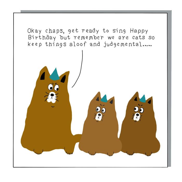 Aloof Cats Greetings Card