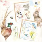 Natures Diary