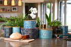 'Botanicals Home and Living from Summerhouse By Navigate