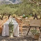 SS23 - Sage Wedding