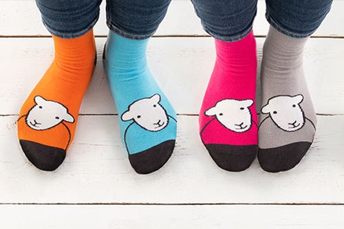 Herdy socks.