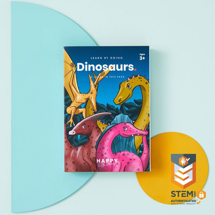 Theme Activity Flashcards
