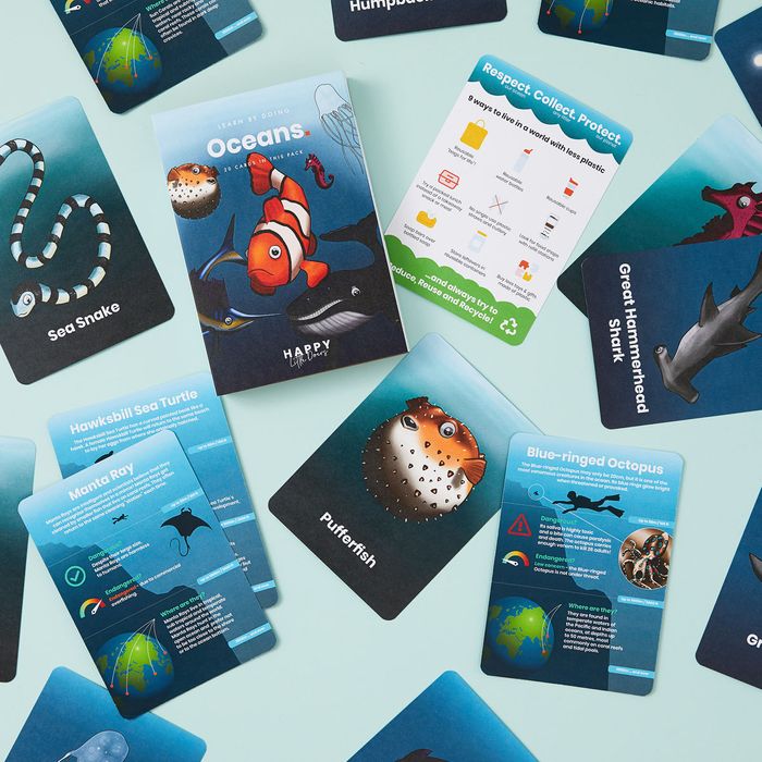 Theme Activity Flashcards