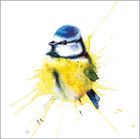 Laura Andrew Splash Birds Collection