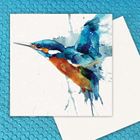 Laura Andrew Splash Birds Collection