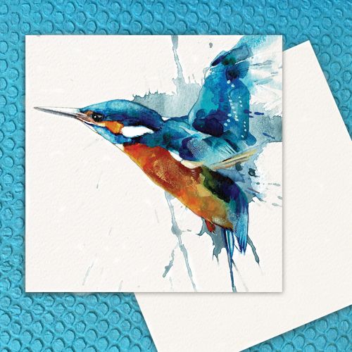 Laura Andrew Splash Birds Collection