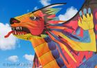 Fusion Dragon Kites