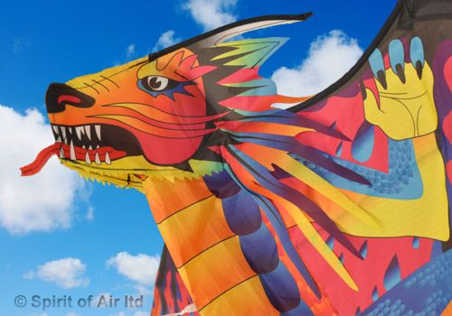 Fusion Dragon Kites