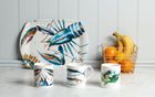 Oceanic Collection