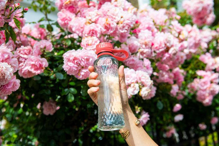 Honest Bottle