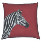 Dazzle of Zebras