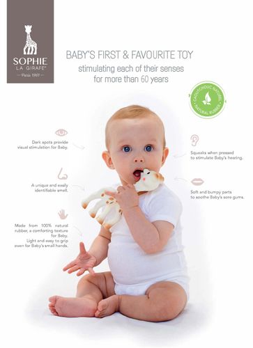 5 Senses Collection
