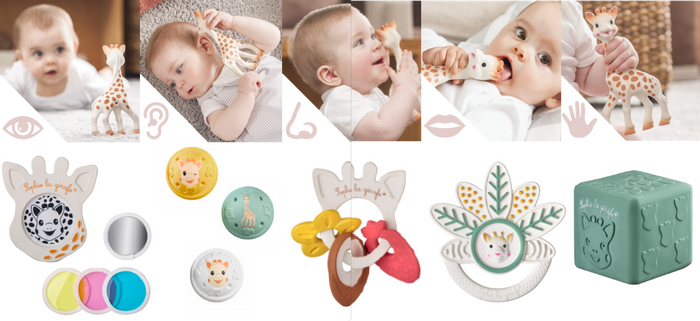 5 Senses Collection